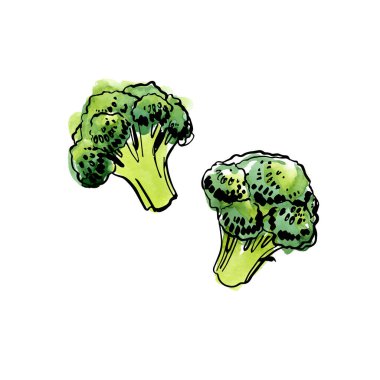 Yemek sebzelerinin çizimi ve suluboya. Brokoli