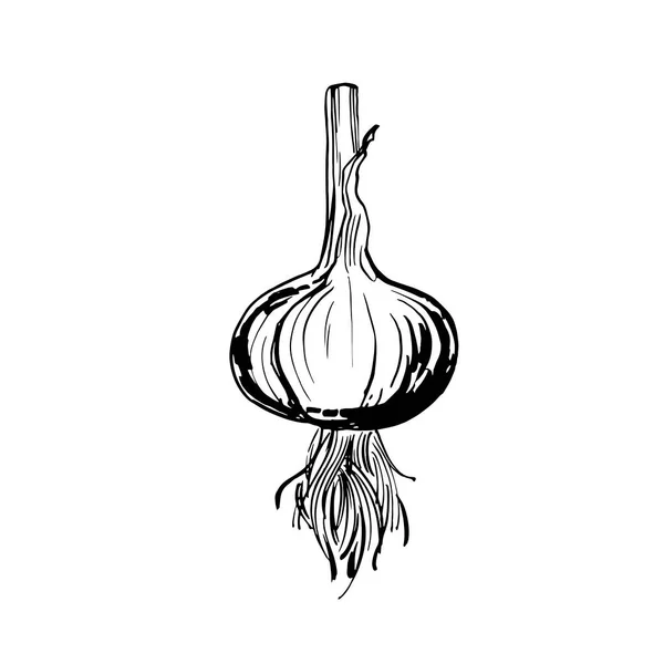 マンゴールドストックベクター ロイヤリティフリー マンゴールドイラスト ページ 2 Depositphotos