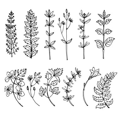 Bitkiler ve çiçekler siyaha boyanmış. Mesaj için yer var. Vektör çizimi.