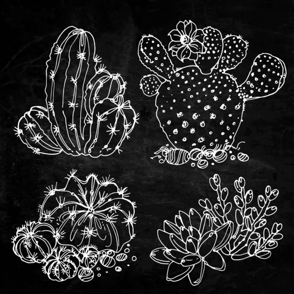 Cactus y suculentas pintaron una línea blanca sobre un fondo negro. Boceto vectorial de plantas de interior. Fondo textura pizarra — Vector de stock