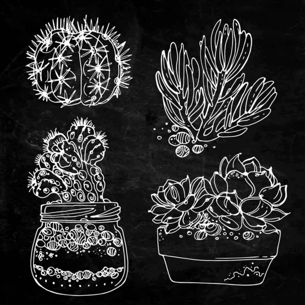 Cactus y suculentas pintaron una línea blanca sobre un fondo negro. Boceto vectorial de plantas de interior. Fondo textura pizarra — Vector de stock