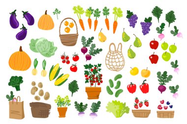 Yerel yemek, sebze ve meyve. Vektör çizimi. Sıfır paket
