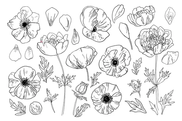 Цветок Мака Память Жертвах Первой Мировой Войны Цветы Мемориалу День — стоковый вектор
