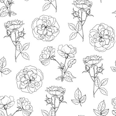 Desen Çiçekleri vektör çizimi. Briar. Güller ve gül kalçalar