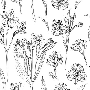 Desen Çiçekleri vektör çizimi. Alstroemeria. Çiçek elementleri seti. Düğün süslemeleri.