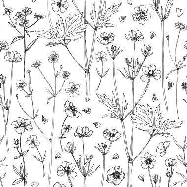 Desen Çiçekleri vektör çizimi. Yabani çiçekler. Düğünçiçeği. Düğün süslemeleri.