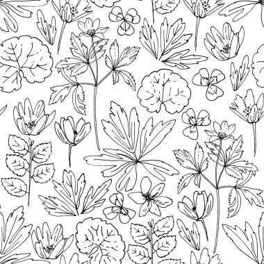 Desen Çiçekleri vektör çizimi. Anemon, orman ve çayır çiçekleri ve otlar beyaz arka planda siyah bir çizgi tarafından çizilmiş..