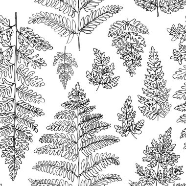 Desen Çiçekleri vektör çizimi. Orman otları, eğrelti otları. Beyaz arkaplanda siyah bir çizgiyle çizilmiş.