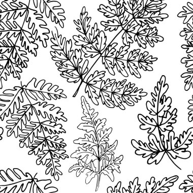 Desen Çiçekleri vektör çizimi. Orman otları, eğrelti otları. Beyaz arkaplanda siyah bir çizgiyle çizilmiş.