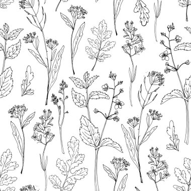 Desen Çiçekleri vektör çizimi. Bitkiler ve çiçekler.