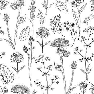 Desen Çiçekleri vektör çizimi. Bitkiler ve çiçekler.