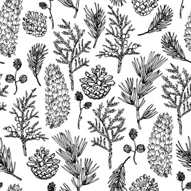 Kalıp vektör çizimi. Noel ağacı dalları ve konileri beyaz arka planda siyah bir çizgiyle çizilmiş..