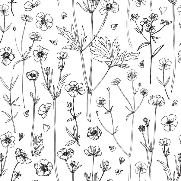 Pattern Flowers Vector Line Drawing Wildflowers Buttercups Wedding Decorations — Stock Vector