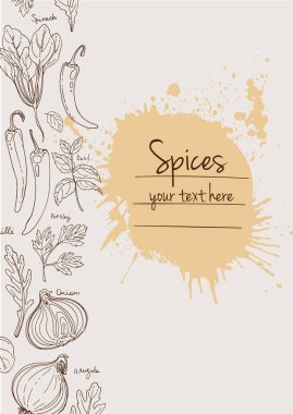 Bitkiler. Otlar. Baharatlar. Herb beyaz arka plana siyah çizgiler çizdi. Vektör çizimi. Metin içerikli pencereli otlarla donatılmış bir arka plan. Herb beyaz arka plana siyah çizgiler çizdi. Vektör çizimi. Metin için penceresi olan bitkilerle arka plan