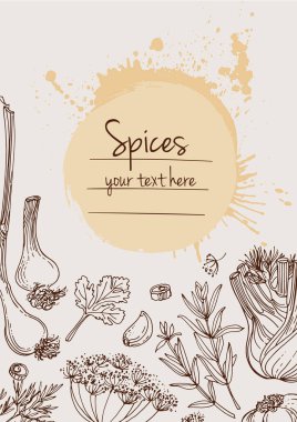 Bitkiler. Otlar. Baharatlar. Herb beyaz arka plana siyah çizgiler çizdi. Vektör çizimi. Metin içerikli pencereli otlarla donatılmış bir arka plan. Herb beyaz arka plana siyah çizgiler çizdi. Vektör çizimi. Metin için penceresi olan bitkilerle arka plan