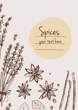 Bitkiler. Otlar. Baharatlar. Herb beyaz arka plana siyah çizgiler çizdi. Vektör çizimi. Metin içerikli pencereli otlarla donatılmış bir arka plan. Herb beyaz arka plana siyah çizgiler çizdi. Vektör çizimi. Metin için penceresi olan bitkilerle arka plan