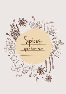 Bitkiler. Otlar. Baharatlar. Herb beyaz arka plana siyah çizgiler çizdi. Vektör çizimi. Metin içerikli pencereli otlarla donatılmış bir arka plan. Herb beyaz arka plana siyah çizgiler çizdi. Vektör çizimi. Metin için penceresi olan bitkilerle arka plan