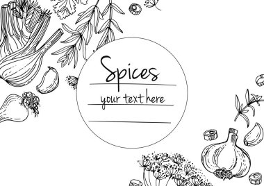 Bitkiler. Otlar. Baharatlar. Herb beyaz arka plana siyah çizgiler çizdi. Vektör çizimi. Metin içerikli pencereli otlarla donatılmış bir arka plan. Herb beyaz arka plana siyah çizgiler çizdi. Vektör çizimi. Metin için penceresi olan bitkilerle arka plan