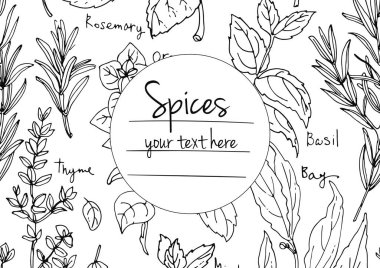 Bitkiler. Otlar. Baharatlar. Herb beyaz arka plana siyah çizgiler çizdi. Vektör çizimi. Metin içerikli pencereli otlarla donatılmış bir arka plan. Herb beyaz arka plana siyah çizgiler çizdi. Vektör çizimi. Metin için penceresi olan bitkilerle arka plan