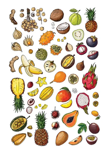 Manifesto vettoriale di frutta e verdura. Schizzo a colori dei prodotti. Arredamento per cucina e ristorante. Frutta esotica e bacche — Vettoriale Stock