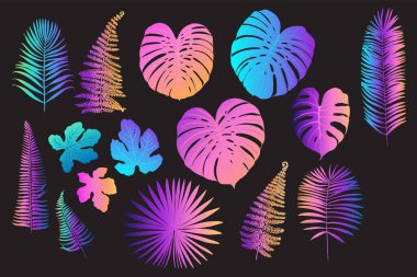 Palmiye, canavar, eğrelti otu ve diğer bitkilerden oluşan neon tropikal yapraklar. Siyah arkaplanda vektör rengi çizimi. Morötesi pembe, mavi, turkuaz.