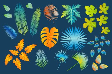 Palmiye, canavar, eğrelti otu ve diğer bitkilerden oluşan neon tropikal yapraklar. Mavi arkaplanda vektör rengi çizimi. Morötesi mavi, turkuaz, turuncu