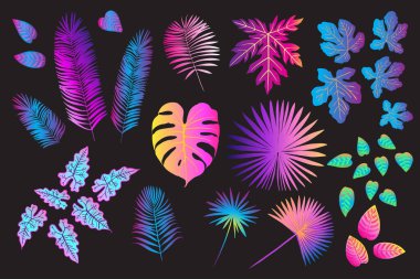 Palmiye, canavar, eğrelti otu ve diğer bitkilerden oluşan neon tropikal yapraklar. Siyah arkaplanda vektör rengi çizimi. Morötesi pembe, mavi, turkuaz.