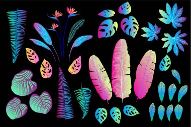 Palmiye, canavar, eğrelti otu ve diğer bitkilerden oluşan neon tropikal yapraklar. Siyah arkaplanda vektör rengi çizimi. Morötesi pembe, mavi, turkuaz.
