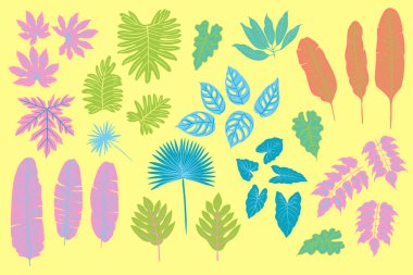 Sarı neon tropikal palmiye yaprakları, canavar, eğrelti otu ve diğer bitkiler. Sarı arka planda vektör rengi çizimi. Morötesi pembe, mavi, turkuaz.