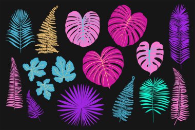 Palmiye, canavar, eğrelti otu ve diğer bitkilerden oluşan neon tropikal yapraklar. Siyah arkaplanda vektör rengi çizimi. Morötesi pembe, mavi, turkuaz.