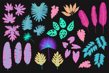 Palmiye, canavar, eğrelti otu ve diğer bitkilerden oluşan neon tropikal yapraklar. Siyah arkaplanda vektör rengi çizimi. Morötesi pembe, mavi, turkuaz.