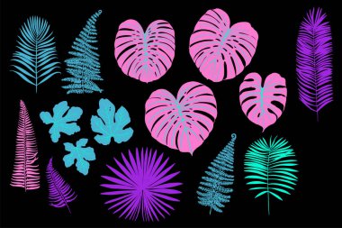 Palmiye, canavar, eğrelti otu ve diğer bitkilerden oluşan neon tropikal yapraklar. Siyah arkaplanda vektör rengi çizimi. Morötesi pembe, mavi, turkuaz.