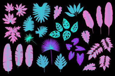 Palmiye, canavar, eğrelti otu ve diğer bitkilerden oluşan neon tropikal yapraklar. Siyah arkaplanda vektör rengi çizimi. Morötesi pembe, mavi, turkuaz.