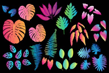 Palmiye, canavar, eğrelti otu ve diğer bitkilerden oluşan neon tropikal yapraklar. Siyah arkaplanda vektör rengi çizimi. Morötesi pembe, mavi, turkuaz.