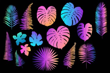 Palmiye, canavar, eğrelti otu ve diğer bitkilerden oluşan neon tropikal yapraklar. Siyah arkaplanda vektör rengi çizimi. Morötesi pembe, mavi, turkuaz.