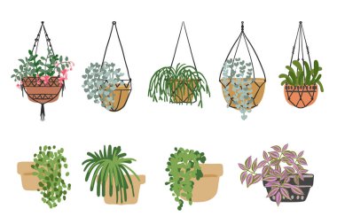 Çiçek ve bitkilerle saksılar asmak. Makrame, modern ev dekorasyonu. Kaktüs ve sulu