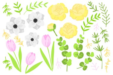 Vektör düz çizim ilkbahar çiçekleri. Düğün çiçekleri, şakayıklar, pembe laleler, okaliptüsler.