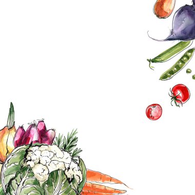 Enginar, rezene, radyatör, rezene, turp, biberiye, kırmızı soğan. İtalyan mutfağının sebze ve bitkilerinin bileşimi. Beyaz arka planda suluboya ile boyanmış sebzeler. Renkli gıda sayımı. Biberiye, kırmızı soğan. Bileşimi: