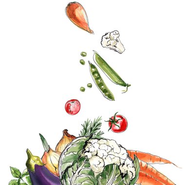 Enginar, rezene, radyatör, rezene, turp, biberiye, kırmızı soğan. İtalyan mutfağının sebze ve bitkilerinin bileşimi. Beyaz arka planda suluboya ile boyanmış sebzeler. Renkli gıda sayımı. Biberiye, kırmızı soğan. Bileşimi: