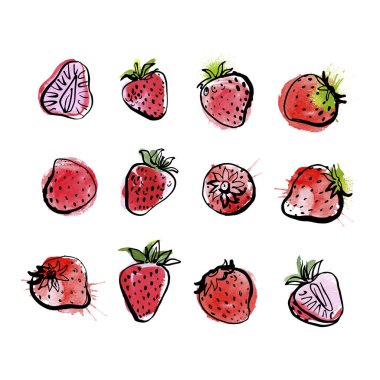 Çilekli. Beyaz arkaplanda vektör ışığı meyve çizgisi suluboya.