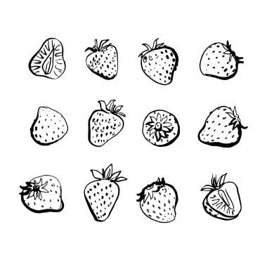 Çilekli. Beyaz arkaplanda vektör ışığı meyve çizgisi suluboya.