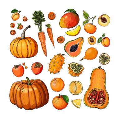 Turuncu. Vektör yiyecekler. Beyaz arka planda renkli sebzeler ve meyveler. Balkabağı, hurma, papaya, mango, havuç, mandalina, portakal, şeftali, kayısı