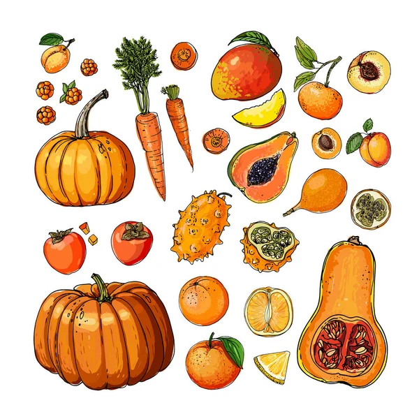 Turuncu. Vektör yiyecekler. Beyaz arka planda renkli sebzeler ve meyveler. Balkabağı, hurma, papaya, mango, havuç, mandalina, portakal, şeftali, kayısı