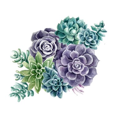 Beyaz arka planda suluboya ile boyanmış sulu sularla. Renkli kaktüs. Bir taş gül. Çölden gelen çiçekler..