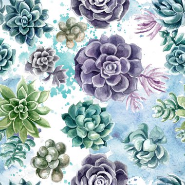 Beyaz arka planda suluboya ile boyanmış desenler. Renkli kaktüs. Bir taş gül. Çölden çiçekler. Görüntü