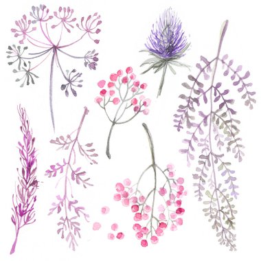 Beyaz kağıda suluboya boyanmış çiçek seti. Çiçek ve bitki çizimi. Çelenk, çiçek çelengi.