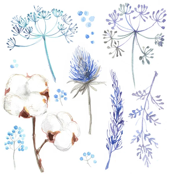 Set di fiori dipinti ad acquerello su carta bianca. Schizzo di fiori ed erbe. Ghirlanda, ghirlanda di fiori. — Foto Stock