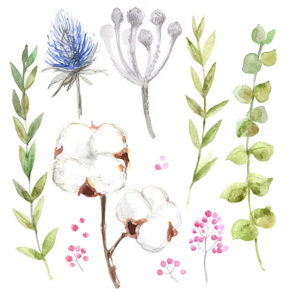 Beyaz kağıda suluboya boyanmış çiçek seti. Çiçek ve bitki çizimi. Çelenk, çiçek çelengi.