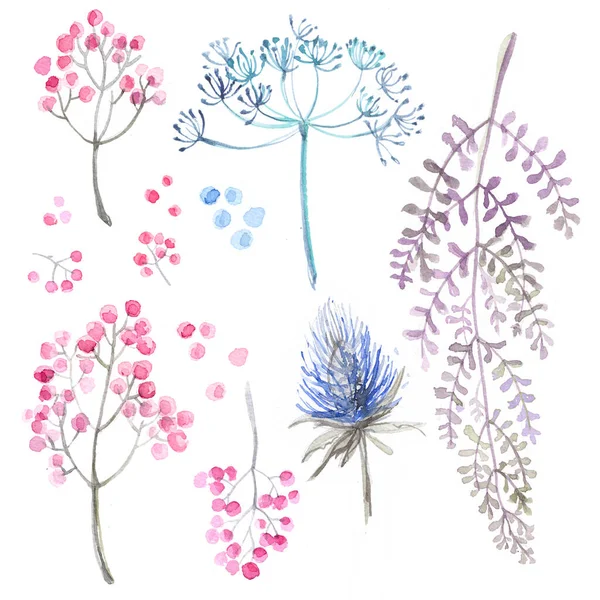 Conjunto de flores pintadas en acuarela sobre papel blanco. Boceto de flores y hierbas. Corona, guirnalda de flores. — Foto de Stock