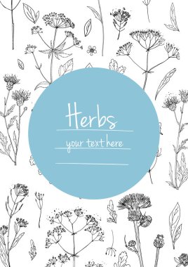 Bitkiler çiçek vektör renk çizgisi. Mesaj için yer var. Otların bir taslağıyla birlikte şablon. Görüntü